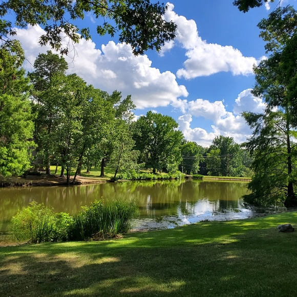 Meet your Posher, Carol - Picture 4 of 5